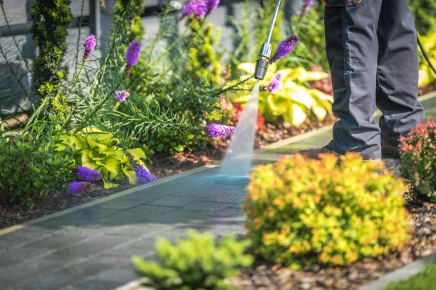 Best Dumpster Area Cleaning  in Knoxvle, IL