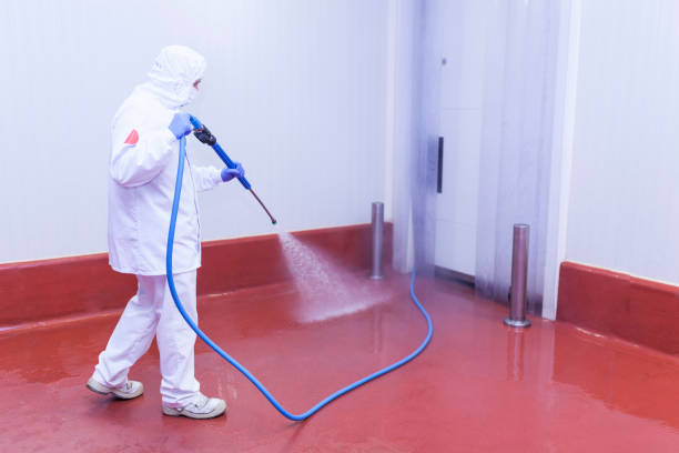Reliable Knoxville, IL Pressure Washing Services Solutions
